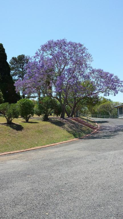 Jacaranda Motor Lodge Grafton Exteriér fotografie